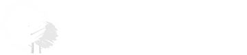 logo delorme meubles